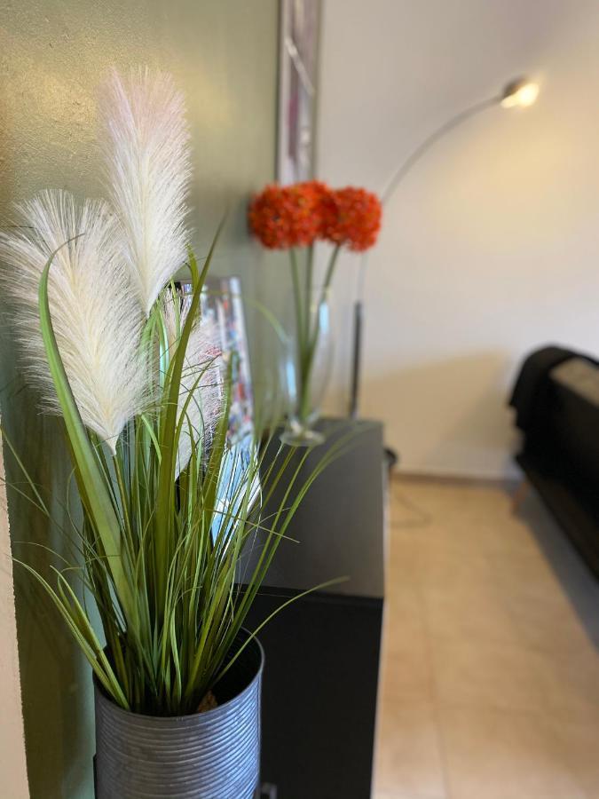 Appartements vue mer Saint-Florent  Extérieur photo